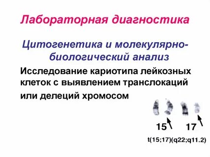 Молекулярный кариотип