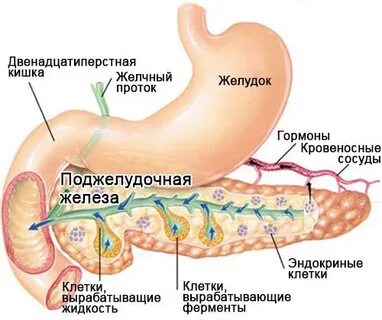 Конкременты в поджелудочной железе