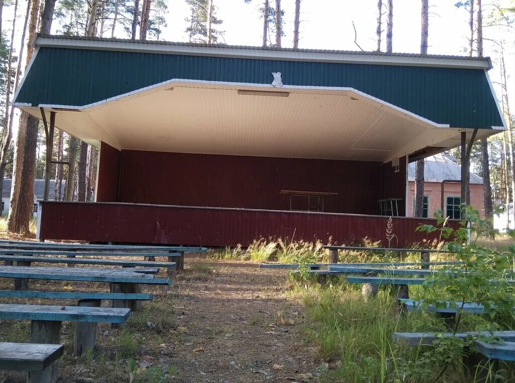 центр детского отдыха липецк. дол чайка липецкая область. центр детского отдыха липецк. центр детского отдыха липецк. лагерь белая березка елец официальный сайт.