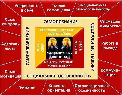 Интеллект семинары. Навыки эмоционального интеллекта. Тренинг по эмоциональному интеллекту. Компетенции эмоционального интеллекта. Эмоциональный интеллект и эмоциональная компетентность.