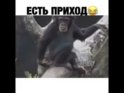 Приход ел
