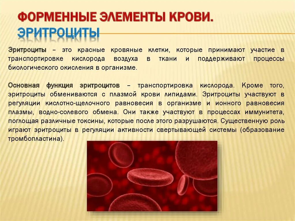 Что значат эритроциты в крови. Эритроциты в крови. Форменные элементы крови эритроциты. Значение эритроцитов. Эритроциты это красные кровяные.