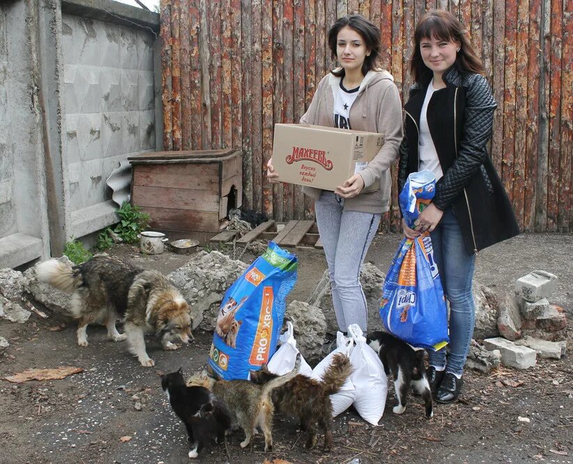 Приют для животных в йошкар оле. Приют для животных в йошкар оле. Животные приюты йошкар ола. Приют для кошек йошкар-ола бесплатно. Приют успех йошкар-ола.