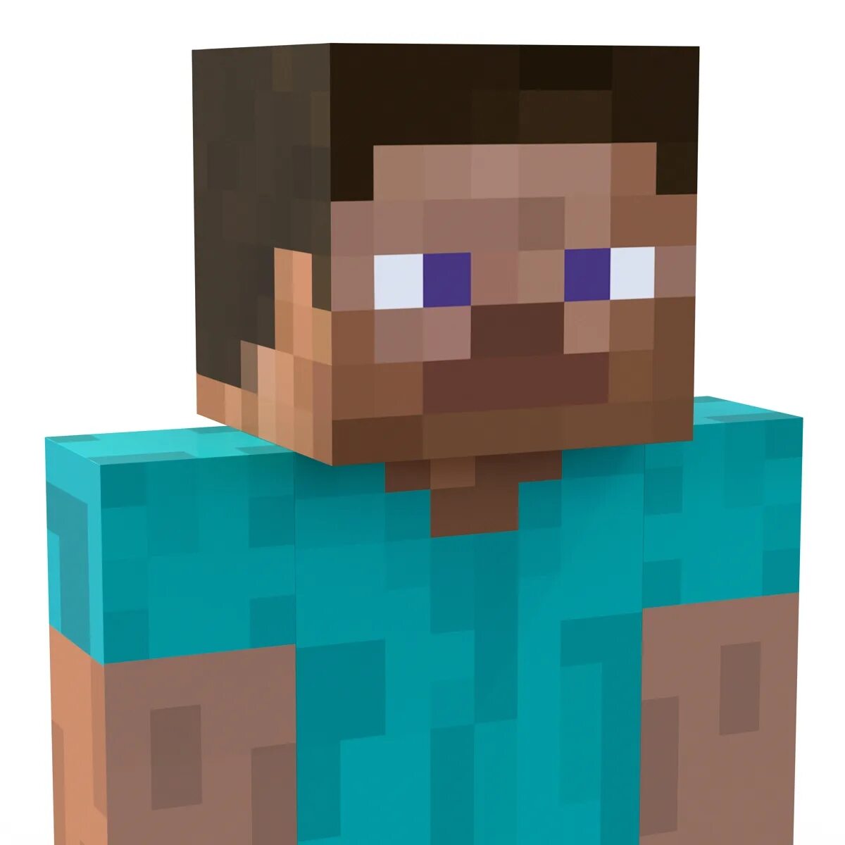 Майнкрафт без головы. Стив майнкрафт. Голова Стива 2д. Minecraft лицо Стива. Майнкрафт Стив портрет.