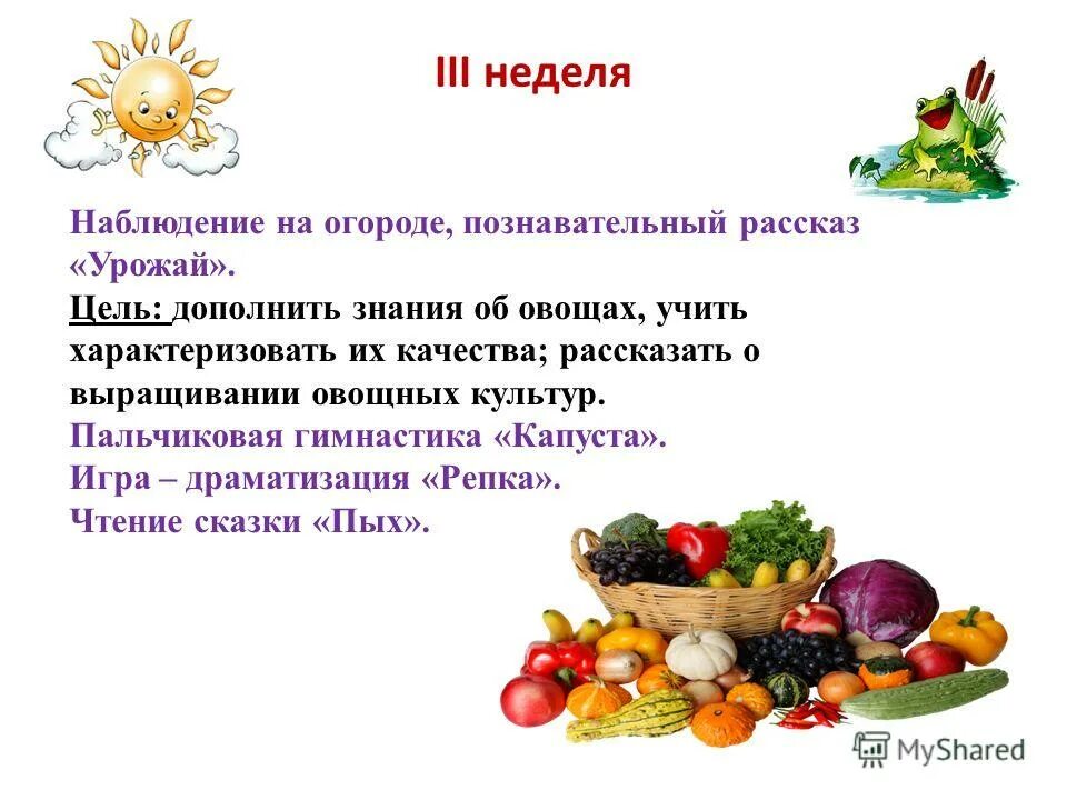 урожай цель. урожай для детей. окружающий мир труд людей осенью. огород урожай. корзинка с овощами.