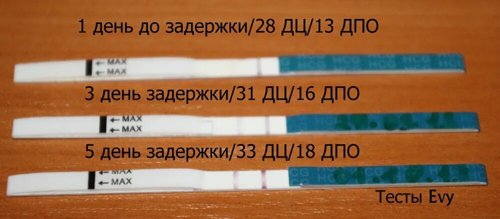 Тест на беременность 1 и на 2 день задержки. Тест на беременность на 2 день задержки показывает беременность. Тест на беременность на 5 день задержки. Тест на беременность 1 день до задержки. Сколько норма задержка месячных при отсутствии беременности