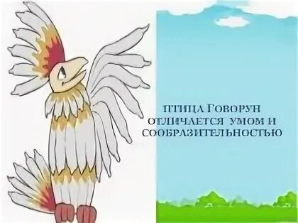Птица отличается умом