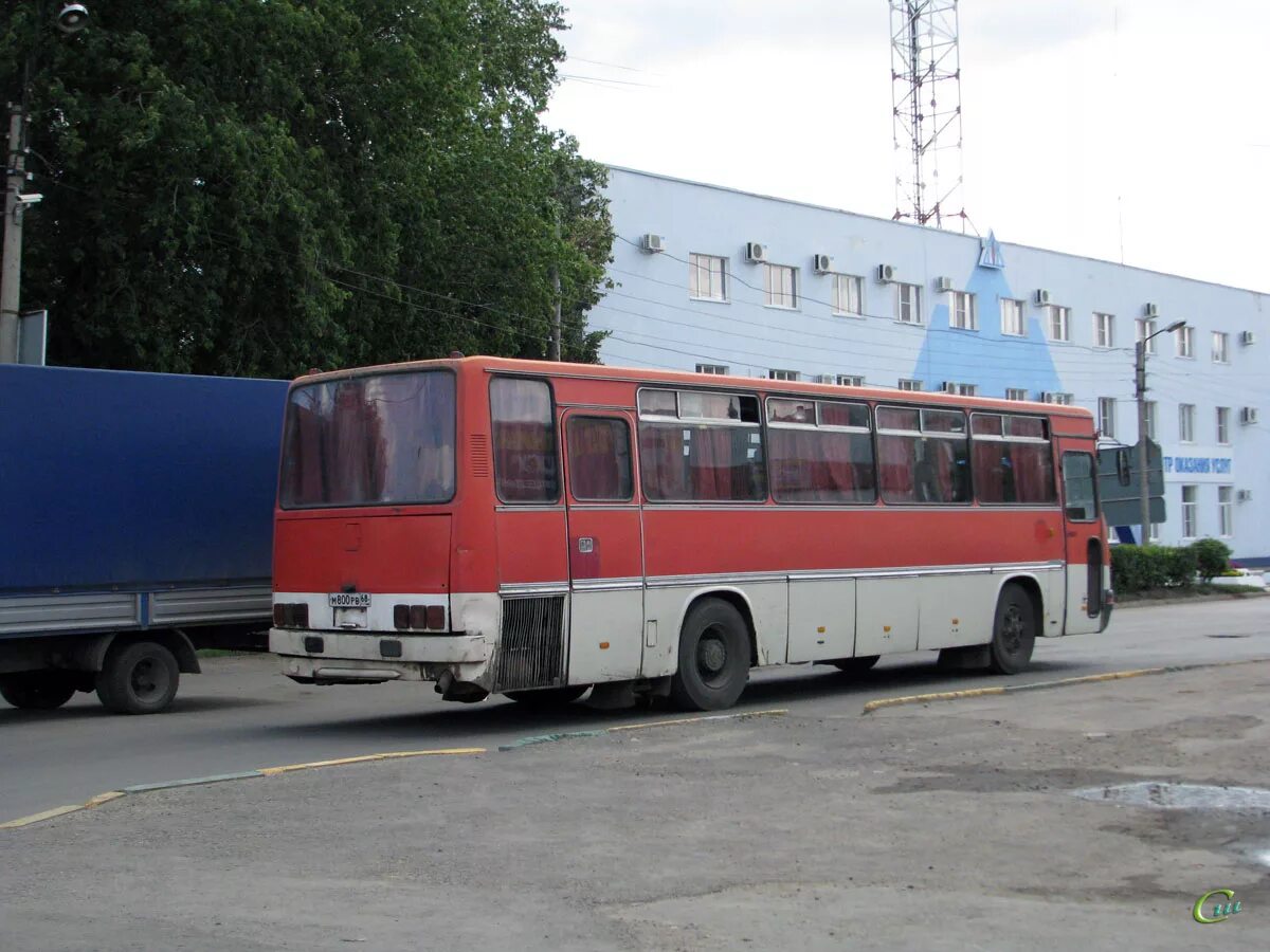 Икарус 256.54. Икарус 256 Тамбов. Икарус 250 Тамбов. Ikarus 256 Тамбов.