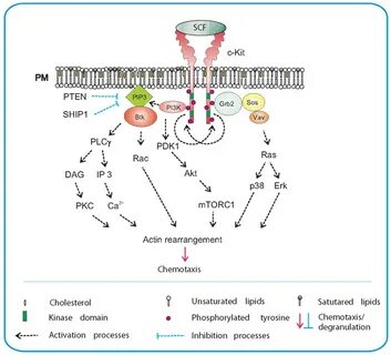 Kit signaling