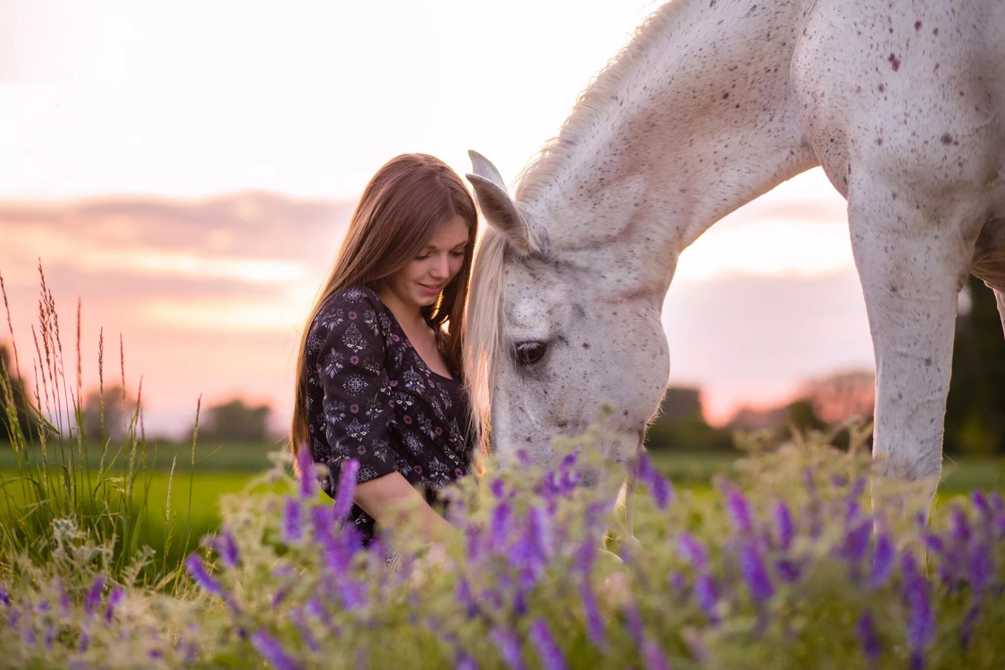 Девки и лошади. Фотосессия с лошадьми. Фотосессия с лошадьми на природе. Девушка с лошадью. Фотосессия с лошадью летом.
