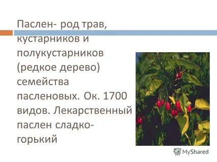 Род травянисто