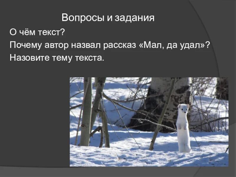 Почему автор назвал свой рассказ. Рассказ мал да удал. мал да удал план изложения. изложение а рассказ мал да удал. мал да удал изложение 3 класс план.