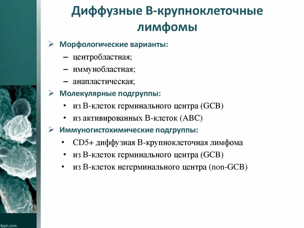 Диффузная b-крупноклеточная лимфома. Диффузная крупноклеточная в-клеточная лимфома. Диффузная в-крупноклеточная лимфома стадии.