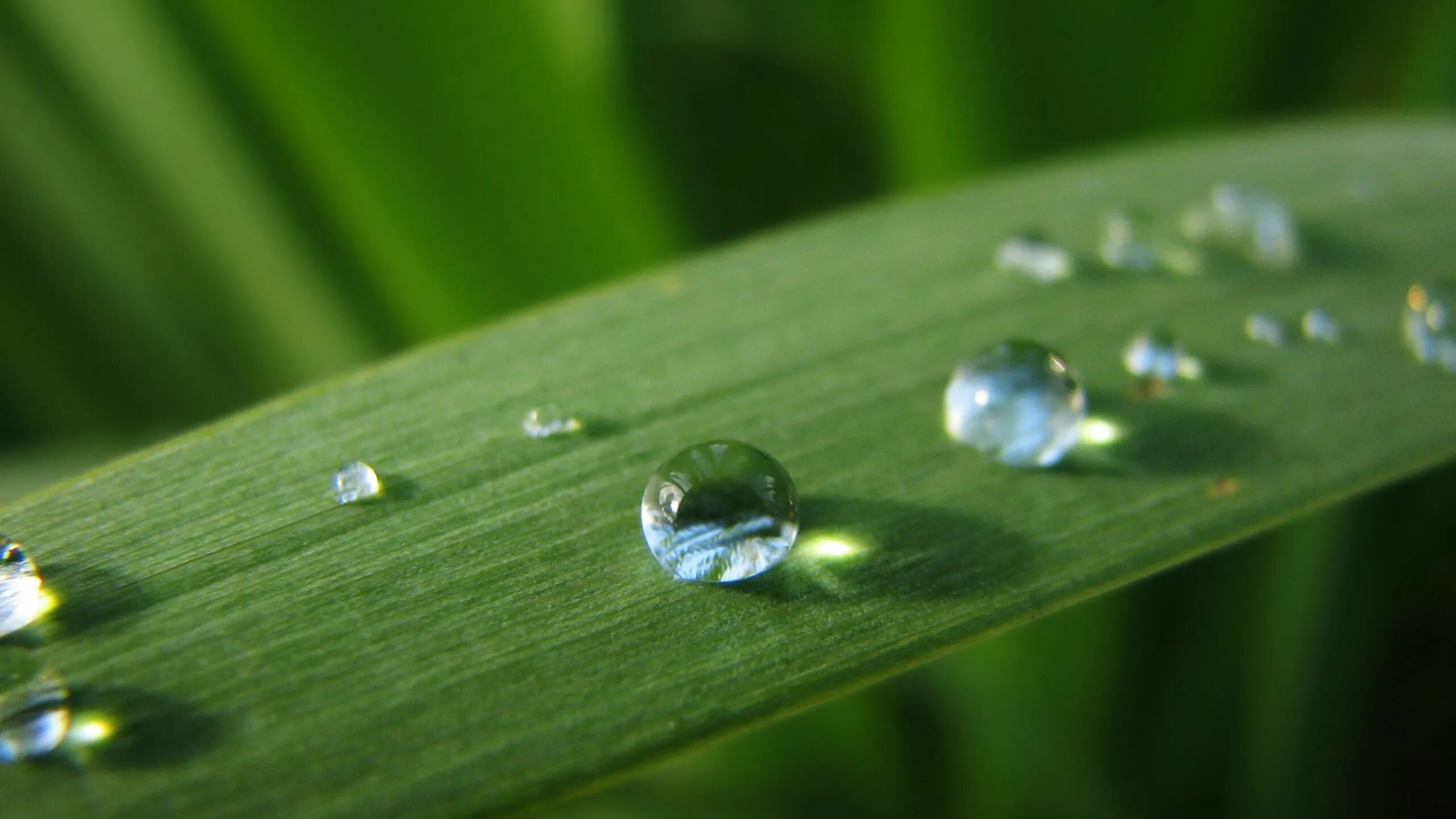 Капли воды. Капли. Капельки для компьютера. Капли воды. Вода фон.