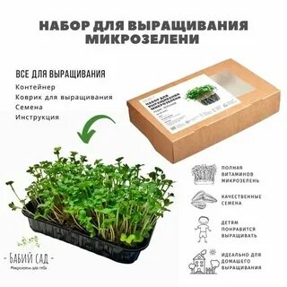 Инструкция по выращиванию микрозелени