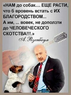 Нам до собак еще расти чтоб