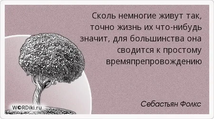 Жизнь зря