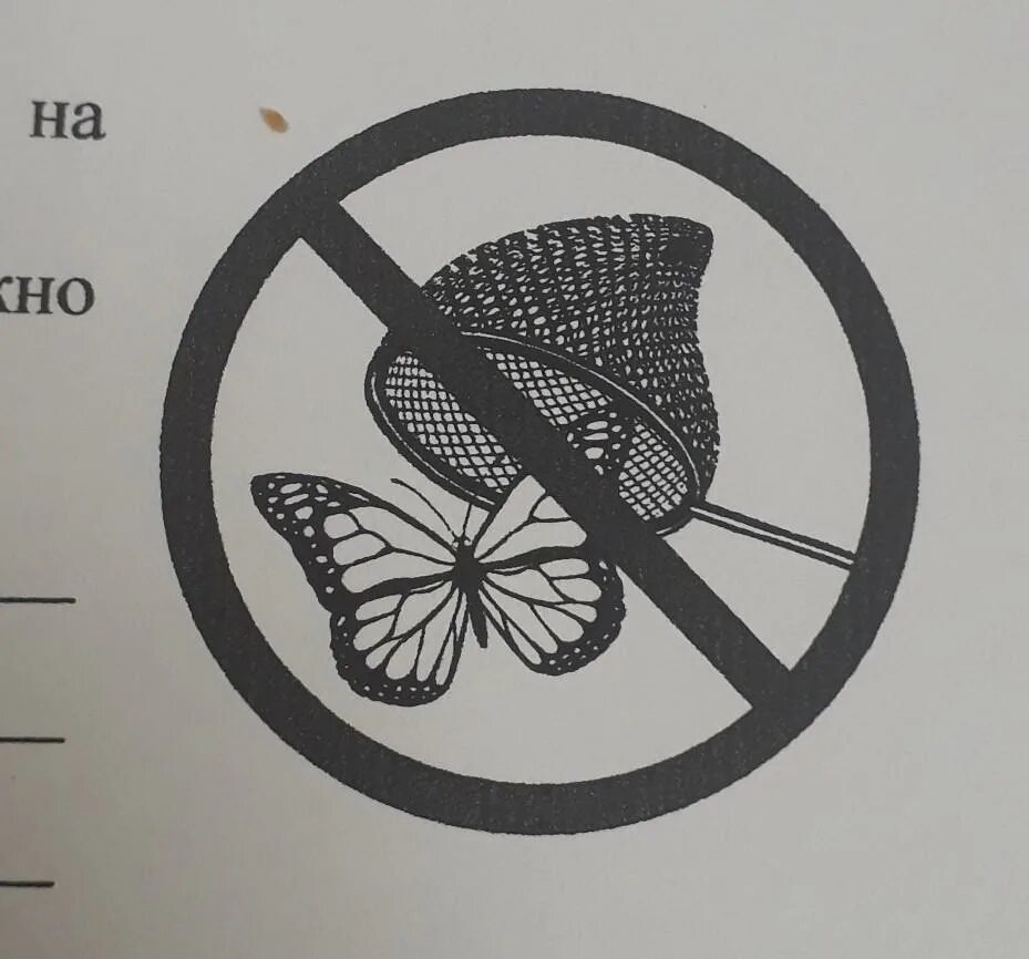 Какое правило изображено на рисунке. Знак ловля бабочек запрещена. Знак не ловить бабочек. Не ловить бабочек запрещающий знак. Где можно встретить знак нельзя ловить бабочек.