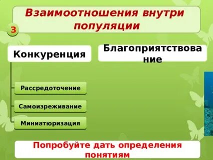 Виды взаимоотношений популяций