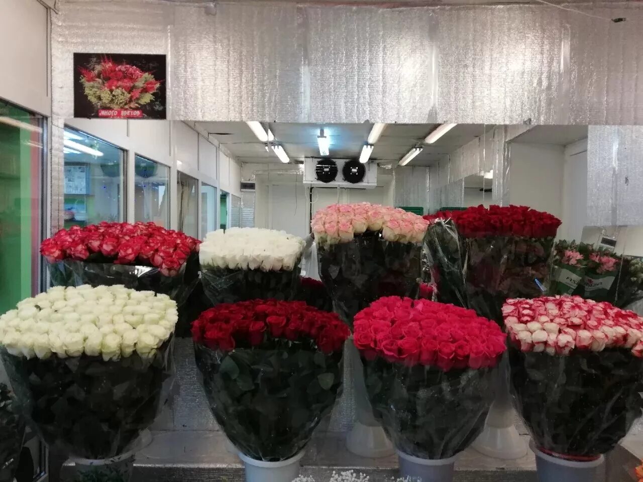 Купить розы в могилеве. Цветочные базы. Оптовая база цветов. Розы в цветочном магазине. Цветочная база розы.