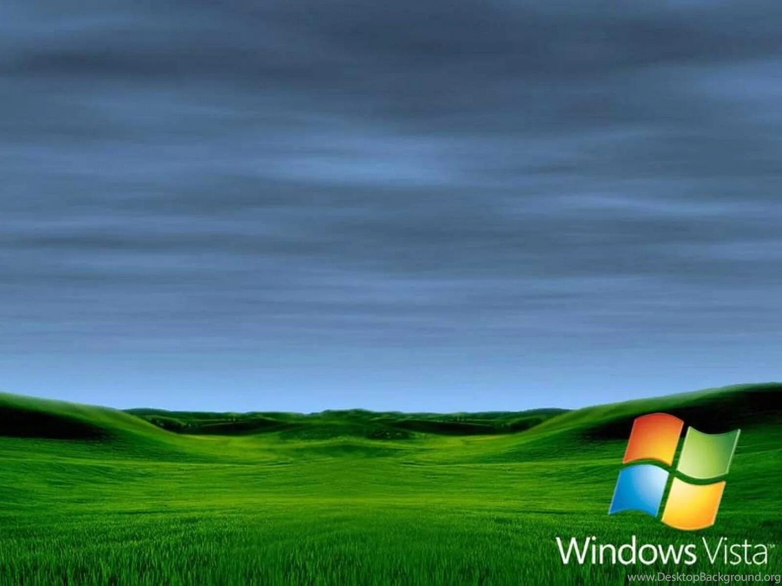 Microsoft windows photos. Виндовс хр виста. виндовс виста xp. фото windows 7. стандартный фон windows xp.