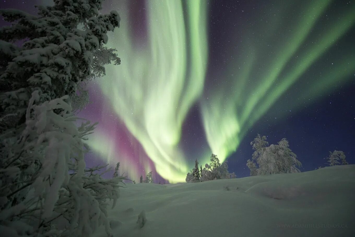 Aurora hills 2. Северное сияние акварелью. северное сияние крылья. северное сияние масляной пастелью. aurora hills жанр.