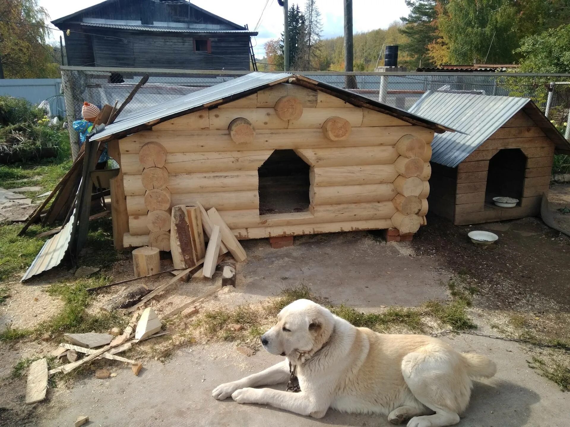 Алабаи будка. Будка для алабая размеры. Конура для собаки алабай. Размеры будки для собаки алабай. Вольер для 2 собак кавказской овчарки.