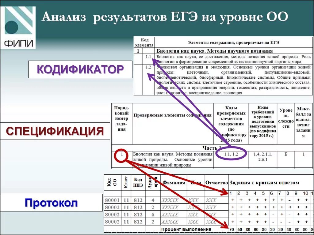 Кодификатор егэ обществознание 2024 год. Кодификатор ЕГЭ Обществознание 2022. Спецификация кодификатор. Физика 9 класс кодификатор. Спецификатор Обществознание.