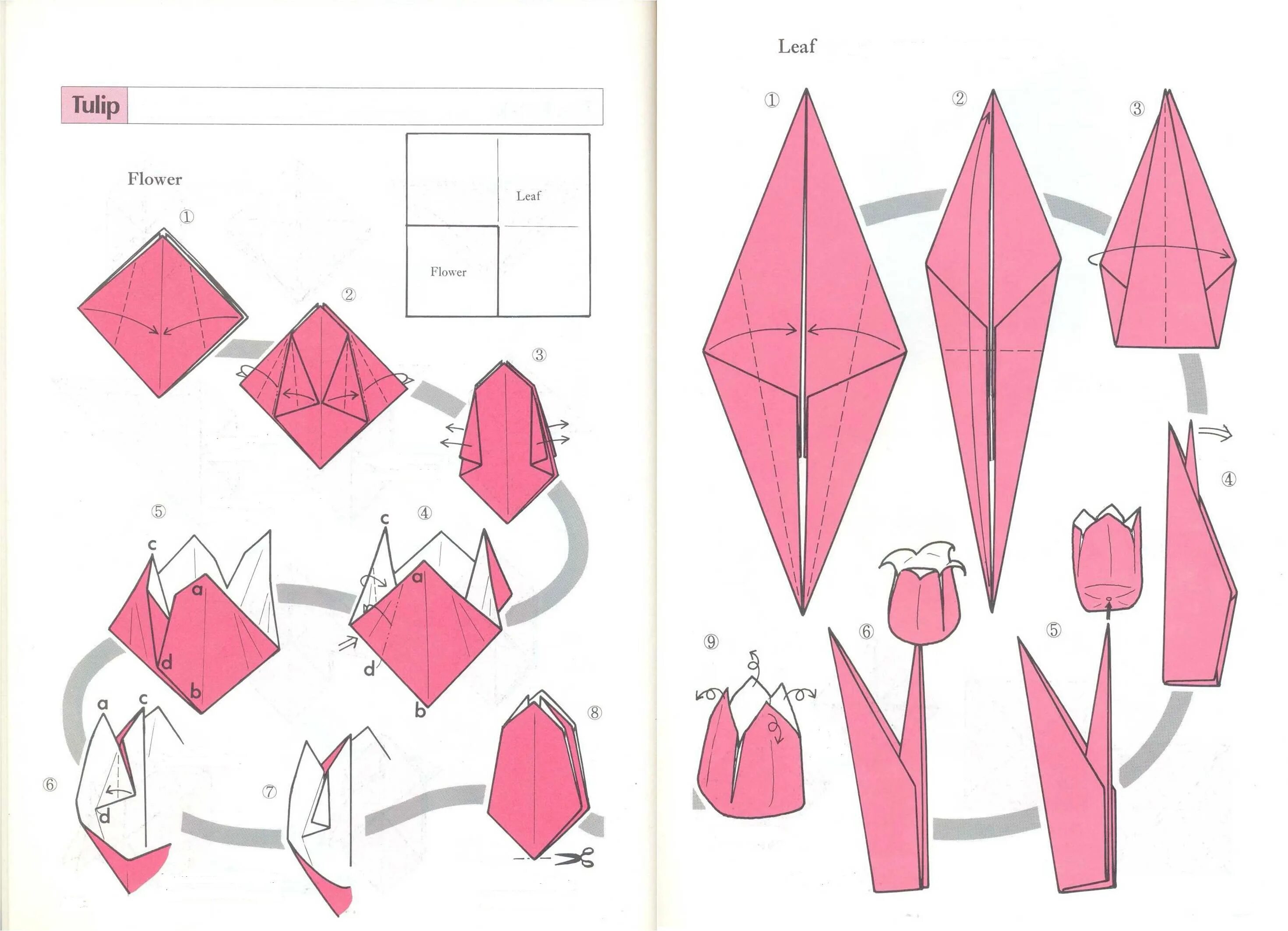Оригами тюльпан из бумаги пошаговой инструкции для детей. Тюльпан оригами из бумаги своими руками схемы поэтапно. Оригами из бумаги цветы тюльпан схема. Тюльпан из бумаги оригами пошагово для детей.