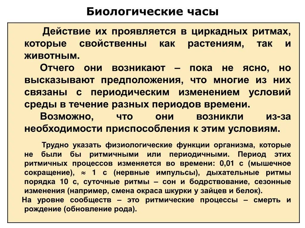 Биологически 5 часы. Биологические часы. Биологические часы организма. Понятие о биологических часах. Биологические часы это кратко.