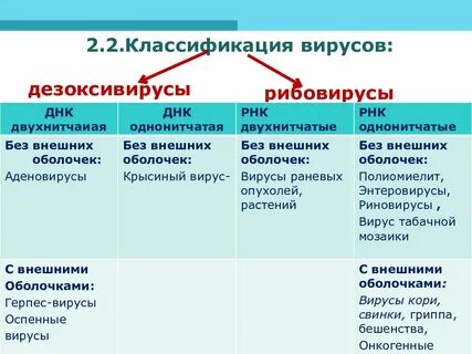 Днк содержащие вирусы примеры