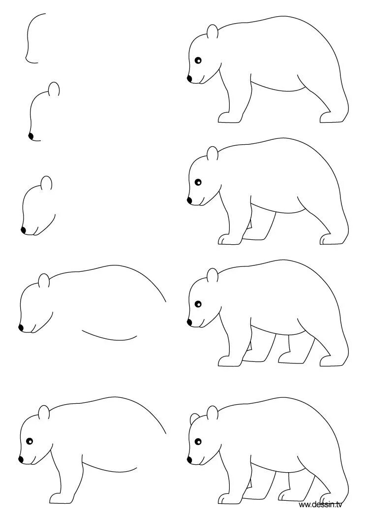 Рисунки животных. Поэтапное рисование медведя для детей. Медведь рисунок легкий для срисовки. Поэтапное рисование медведя для дошкольников. Как нарисовать любое животное