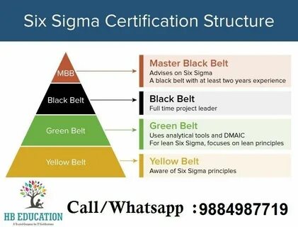 Что представляет собой методика lean six sigma