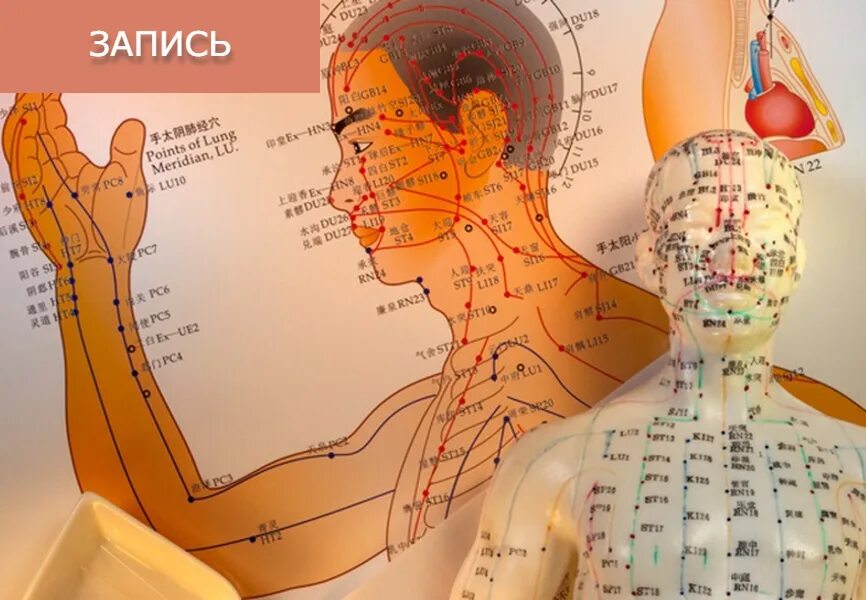 Каналы китайской медицины. Акупунктура меридианы китайская медицина. Китайская акупунктура и меридианы тела. Акупрессура точечный массаж китайской медицины. Меридианы тела человека китайская медицина.