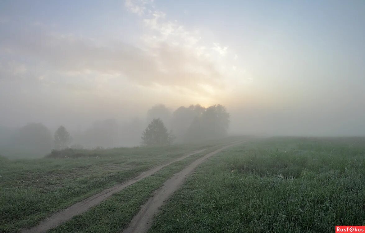 Сквозь пелену тумана. Сквозь пелену тумана. Туран туманная. Горы в тумане. Сквозь туман.