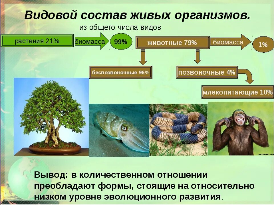 Искусственная биологическая система. Видовой состав животных. Живые организмы. Живые организмы в биосфере. Живые организмы обитающие в биосфере.