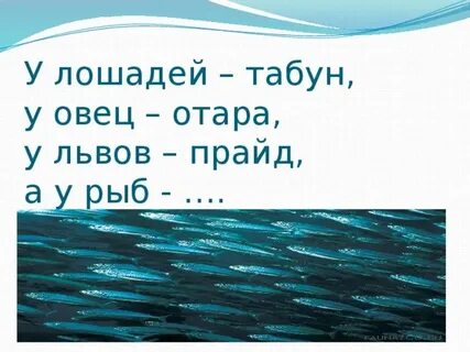 Рыба имя человека загадка