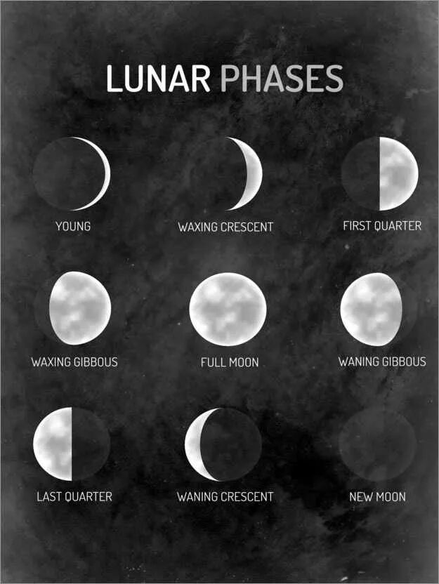 8 апреля 2024 какая фаза луны. Фазы Луны. Фазы окн. Фазы Луны на английском. Фазы Луны Постер.