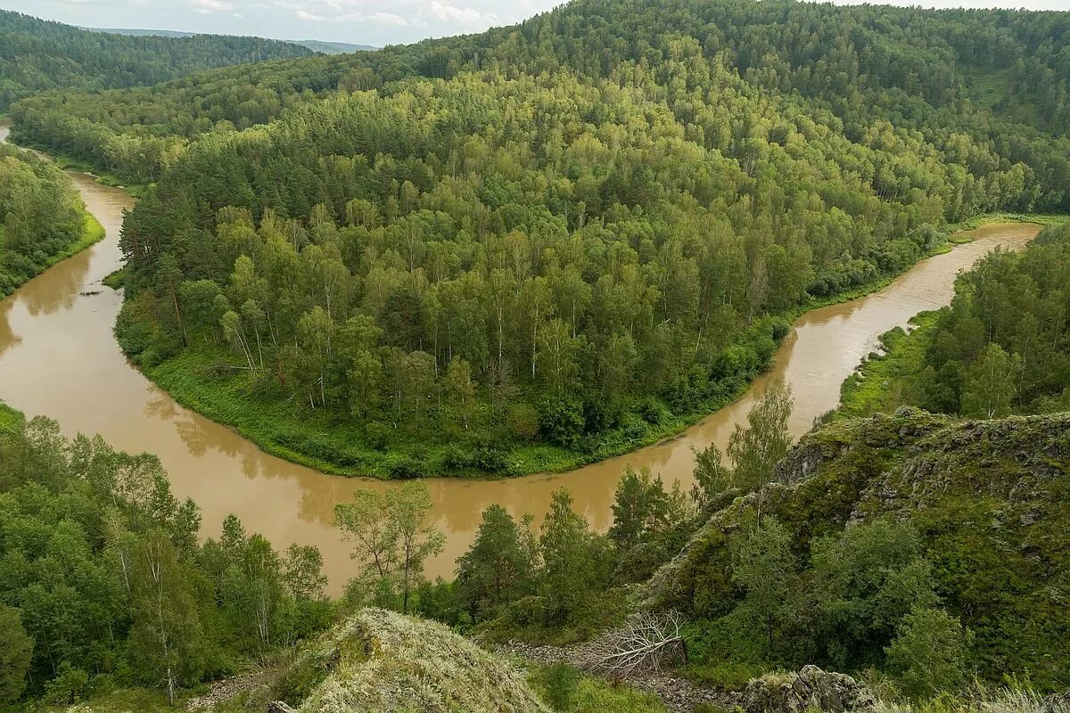 Новосибирской областях в алтайском и. Река Бердь в Маслянино. Река Бердь Салаирский Кряж. Исток реки Бердь. Река Бердь Новосибирской области.