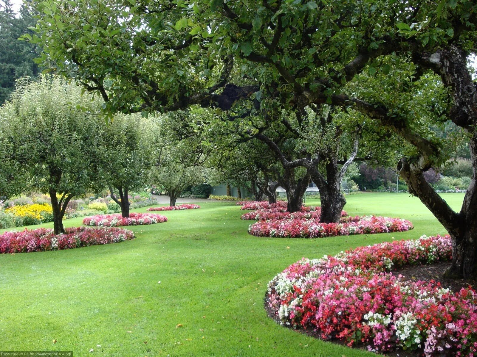 Сады с п б. Сады с п б. Сад в пейзажном стиле. Миксбордер в ландшафте. Вишневые деревья сад бутчарт.