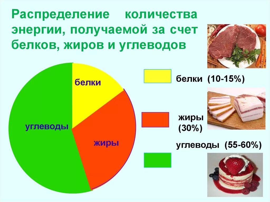 Соотношение белков в питании. Распределение белков жиров и углеводов в рационе человека. Схема питания белки жиры углеводы. Правильное распределение еды белки жиры углеводы. Сколько процентов белков жиров и углеводов в организме человека.