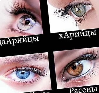 Цвет глаз у славян
