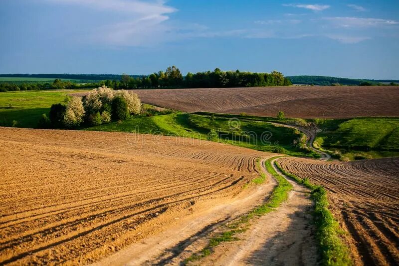 Field processing. Белоруссия пахотные земли. Сельскохозяйственный ландшафт. Антропогенный ландшафт. Сельскохозяйственные ландшафты Беларуси.