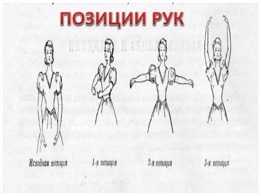 Вторая позиция рук. Первая позиция рук в классическом танце. Позиции рук и ног в классическом танце. 1 Позиция рук в хореографии. Позиции рук в классическом танце.