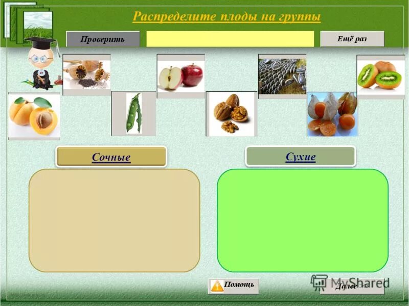 распределите художников по группам