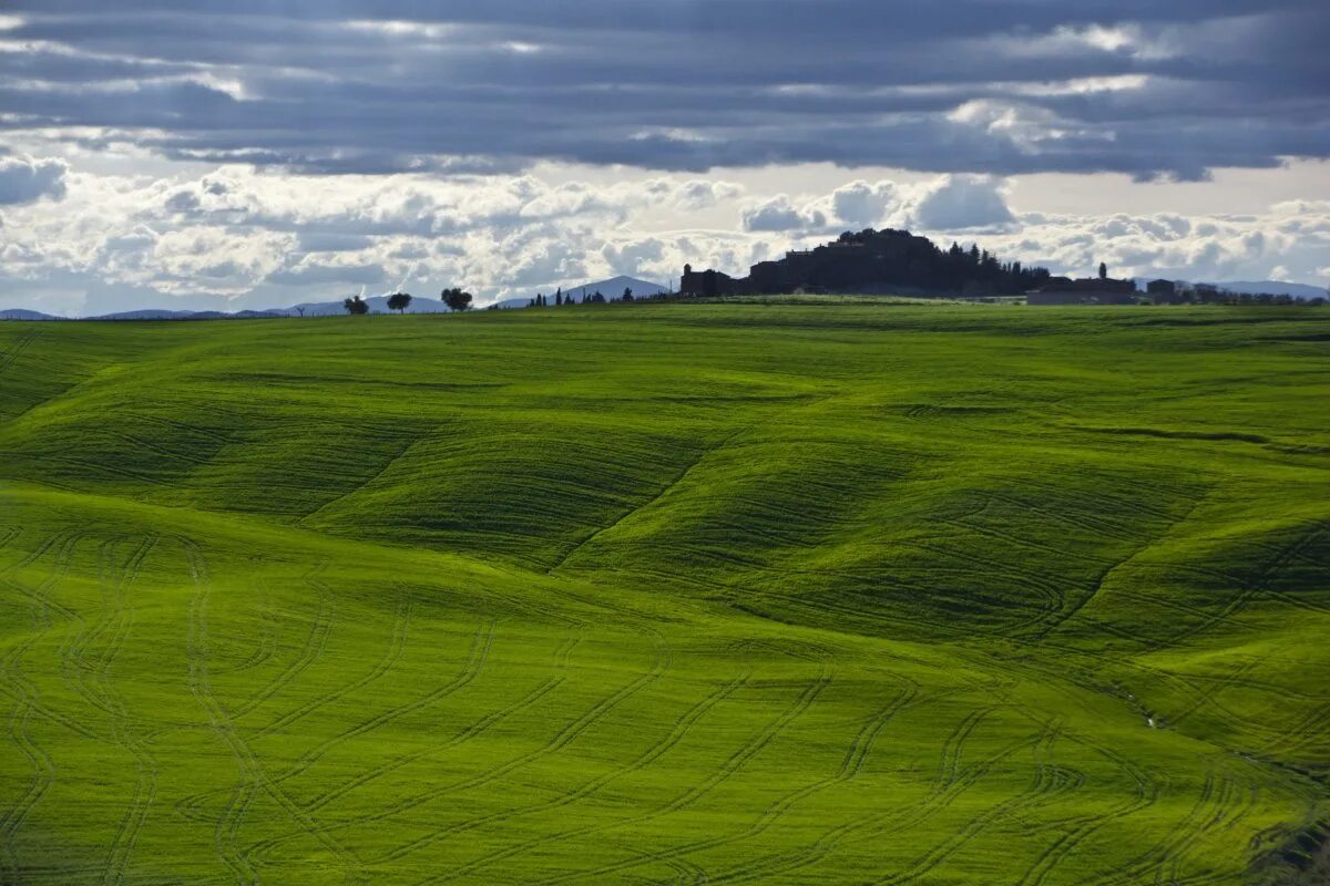 Рельеф Дании равнина. Холмистая равнина рельеф. Поверхность Приднестровья Холмистая равнина. Холмистая равнина Тоскана.