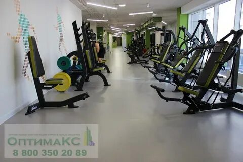 Клуб пеликан краснодар