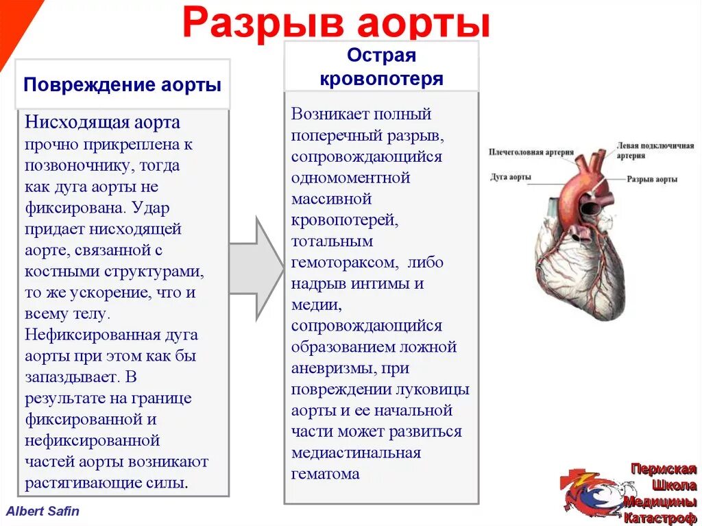 Показать разрыв. Разрыв межсердечной аорты.