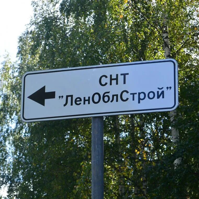 Леноблстрой. Снт леноблстрой. вырица садоводство леноблстрой. леноблстрой гатчина. леноблстрой 47 дубровка.