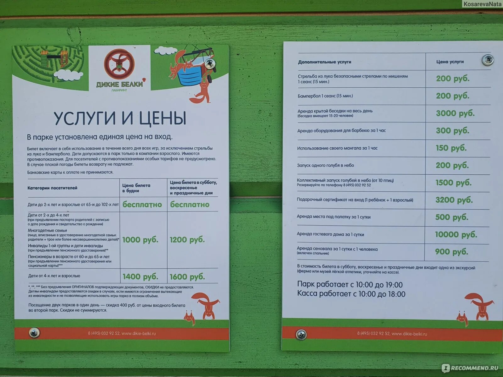 Белков чехов. Парк Дикие белки аквапарк. Дикие белки парк в Чехове.